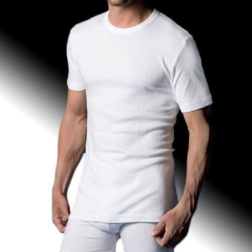 ABANDERADO 206 ✓ Camiseta interior térmica hombre manga corta